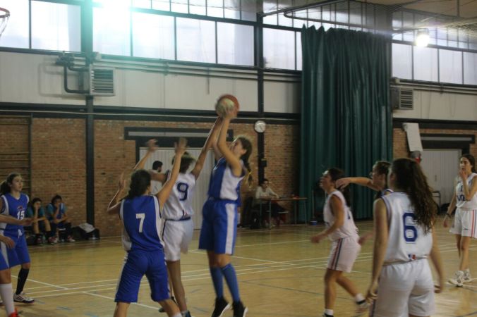 WhatsApp Image 2017-02-05 at 19.50.10.jpeg