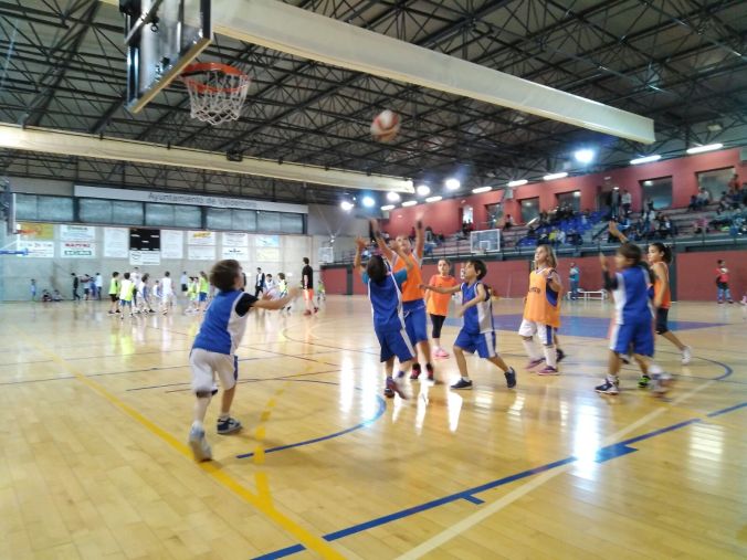 WhatsApp Image 2017-05-13 at 23.51.12 (1)