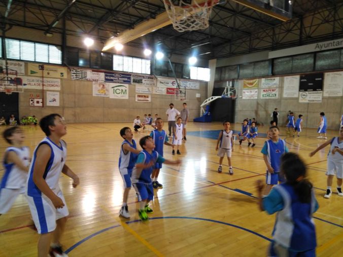 WhatsApp Image 2017-05-13 at 23.52.07 (1)