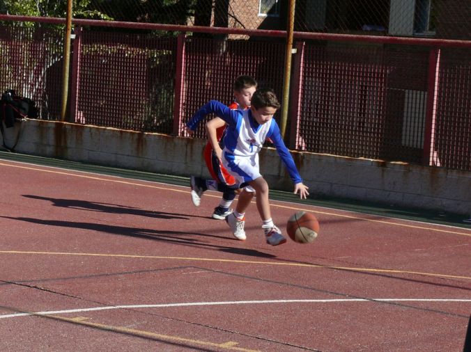 WhatsApp Image 2017-11-13 at 20.36.50.jpeg