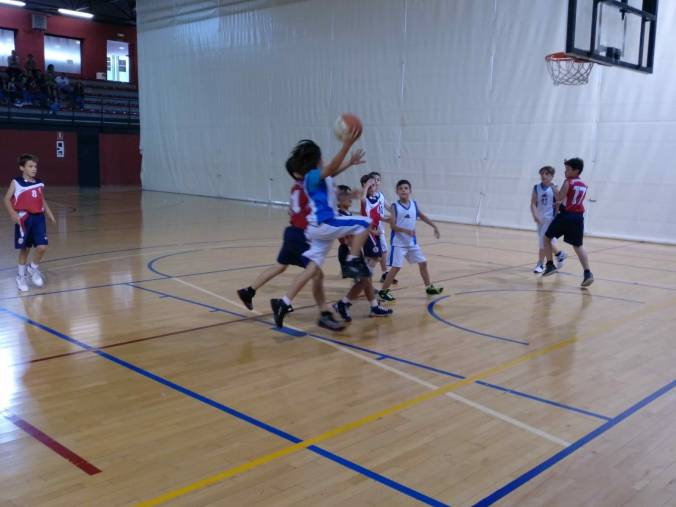 WhatsApp Image 2018-06-09 at 18.38.21 (1).jpeg