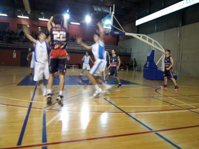 WhatsApp Image 2018-11-11 at 20.30.13.jpeg